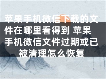 苹果手机微信下载的文件在哪里看得到 苹果手机微信文件过期或已被清理怎么恢复