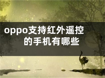 oppo支持红外遥控的手机有哪些