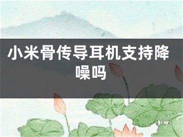 小米骨传导耳机支持降噪吗