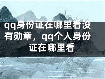 qq身份证在哪里看没有勋章，qq个人身份证在哪里看