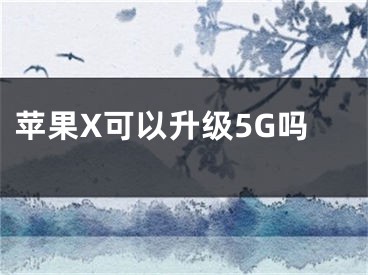 苹果X可以升级5G吗