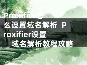 Proxifier怎么设置域名解析  Proxifier设置域名解析教程攻略