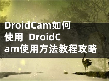 DroidCam如何使用  DroidCam使用方法教程攻略