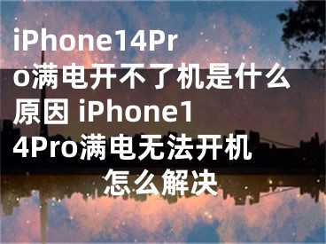 iPhone14Pro满电开不了机是什么原因 iPhone14Pro满电无法开机怎么解决