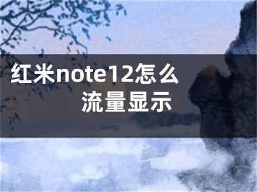 红米note12怎么流量显示