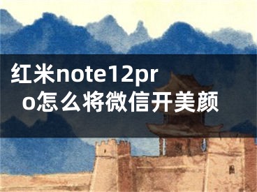 红米note12pro怎么将微信开美颜