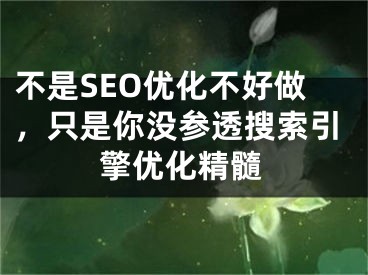 不是SEO优化不好做，只是你没参透搜索引擎优化精髓