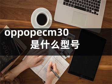 oppopecm30是什么型号