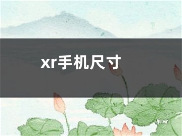 xr手机尺寸