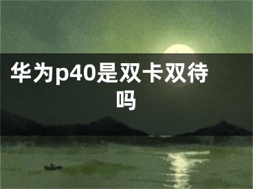 华为p40是双卡双待吗