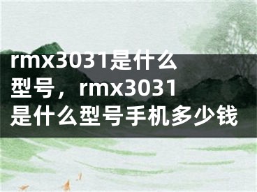 rmx3031是什么型号，rmx3031是什么型号手机多少钱