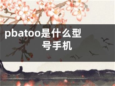 pbatoo是什么型号手机