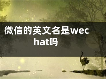 微信的英文名是wechat吗