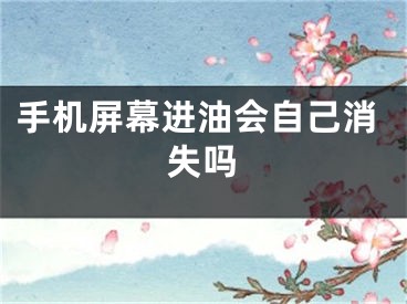 手机屏幕进油会自己消失吗