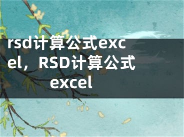 rsd计算公式excel，RSD计算公式excel