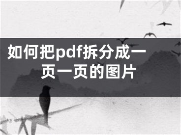 如何把pdf拆分成一页一页的图片