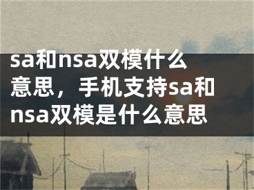sa和nsa双模什么意思，手机支持sa和nsa双模是什么意思