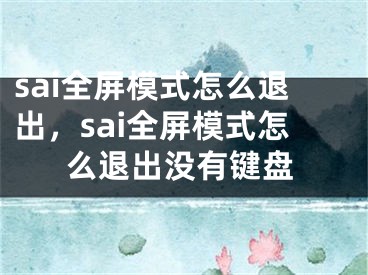 sai全屏模式怎么退出，sai全屏模式怎么退出没有键盘