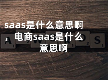 saas是什么意思啊，电商saas是什么意思啊