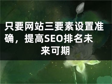 只要网站三要素设置准确，提高SEO排名未来可期