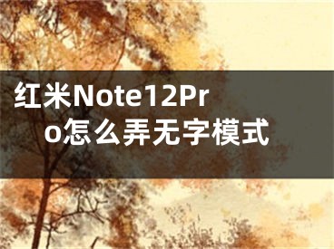 红米Note12Pro怎么弄无字模式