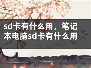 sd卡有什么用，笔记本电脑sd卡有什么用