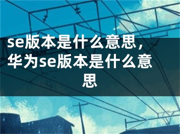 se版本是什么意思，华为se版本是什么意思