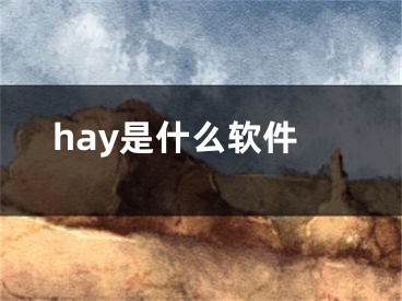 hay是什么软件