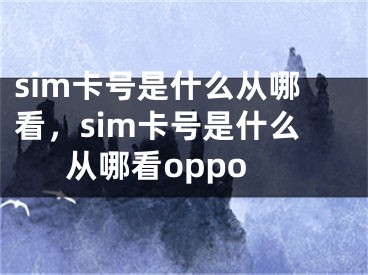 sim卡号是什么从哪看，sim卡号是什么从哪看oppo