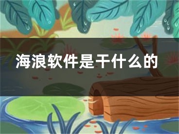 海浪软件是干什么的