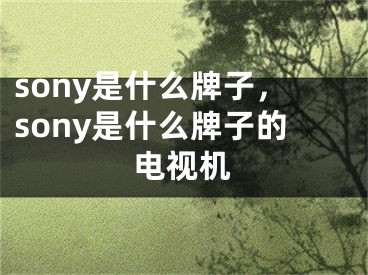 sony是什么牌子，sony是什么牌子的电视机