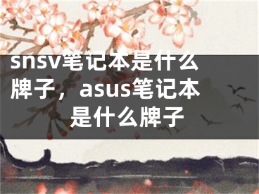 snsv笔记本是什么牌子，asus笔记本是什么牌子