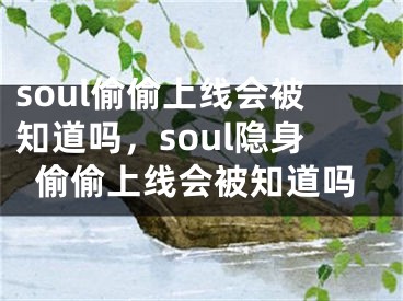 soul偷偷上线会被知道吗，soul隐身偷偷上线会被知道吗