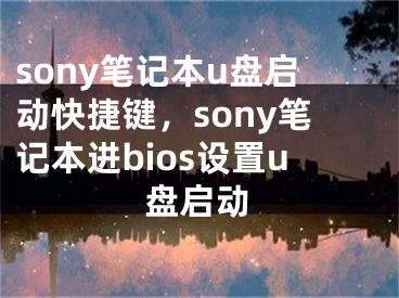 sony笔记本u盘启动快捷键，sony笔记本进bios设置u盘启动