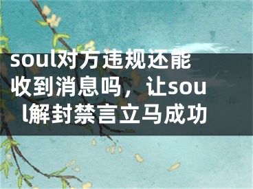 soul对方违规还能收到消息吗，让soul解封禁言立马成功