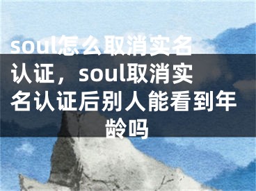 soul怎么取消实名认证，soul取消实名认证后别人能看到年龄吗 