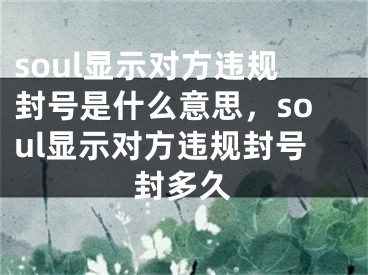 soul显示对方违规封号是什么意思，soul显示对方违规封号封多久