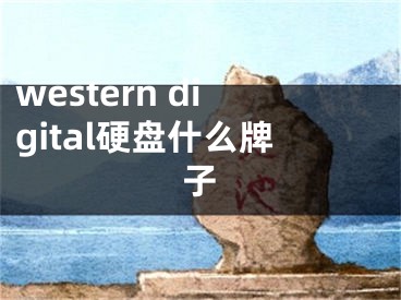 western digital硬盘什么牌子