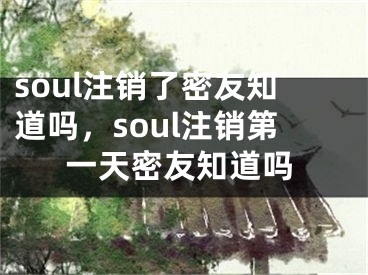 soul注销了密友知道吗，soul注销第一天密友知道吗