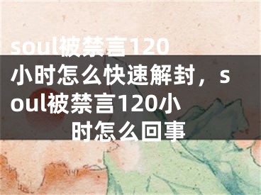 soul被禁言120小时怎么快速解封，soul被禁言120小时怎么回事