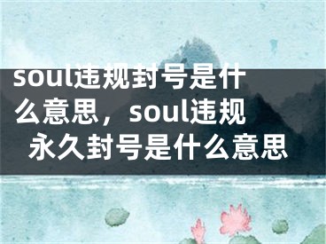 soul违规封号是什么意思，soul违规永久封号是什么意思