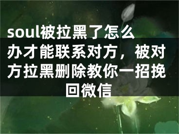 soul被拉黑了怎么办才能联系对方，被对方拉黑删除教你一招挽回微信