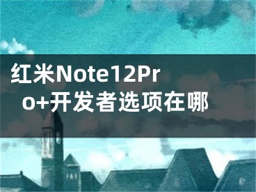红米Note12Pro+开发者选项在哪