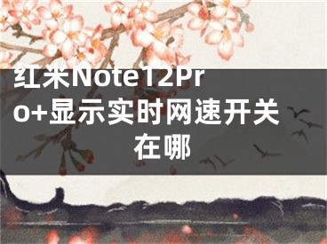 红米Note12Pro+显示实时网速开关在哪