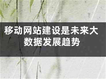 移动网站建设是未来大数据发展趋势