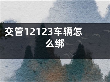 交管12123车辆怎么绑