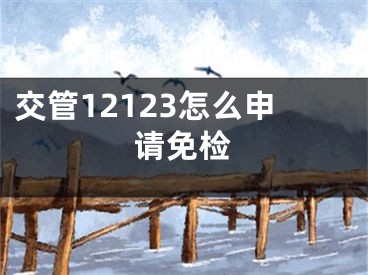 交管12123怎么申请免检