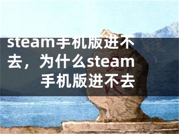 steam手机版进不去，为什么steam手机版进不去