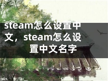 steam怎么设置中文，steam怎么设置中文名字
