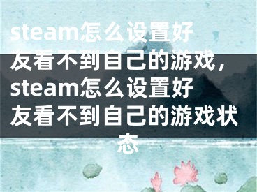 steam怎么设置好友看不到自己的游戏，steam怎么设置好友看不到自己的游戏状态